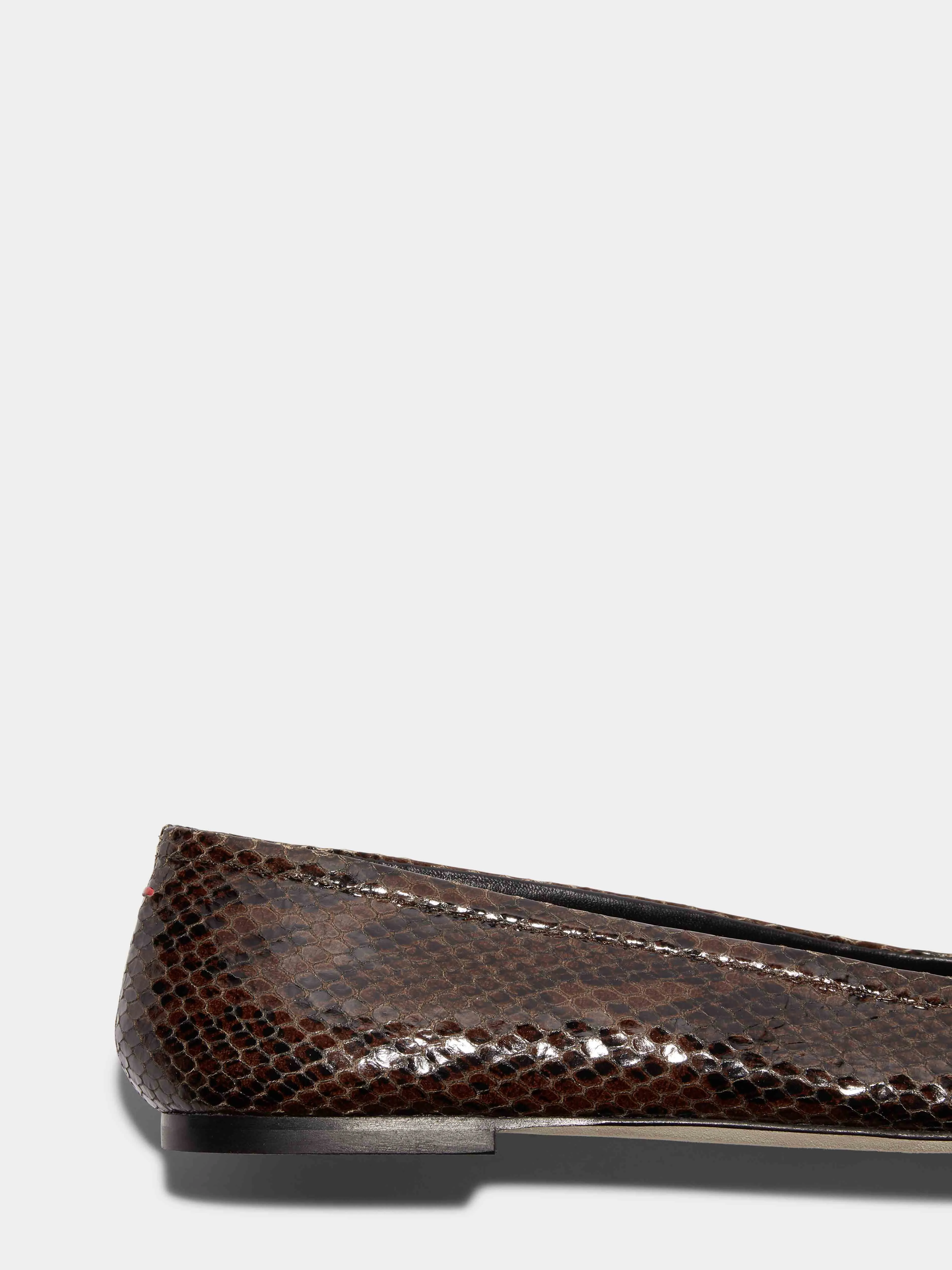 Delfina Leather Ballet Flats