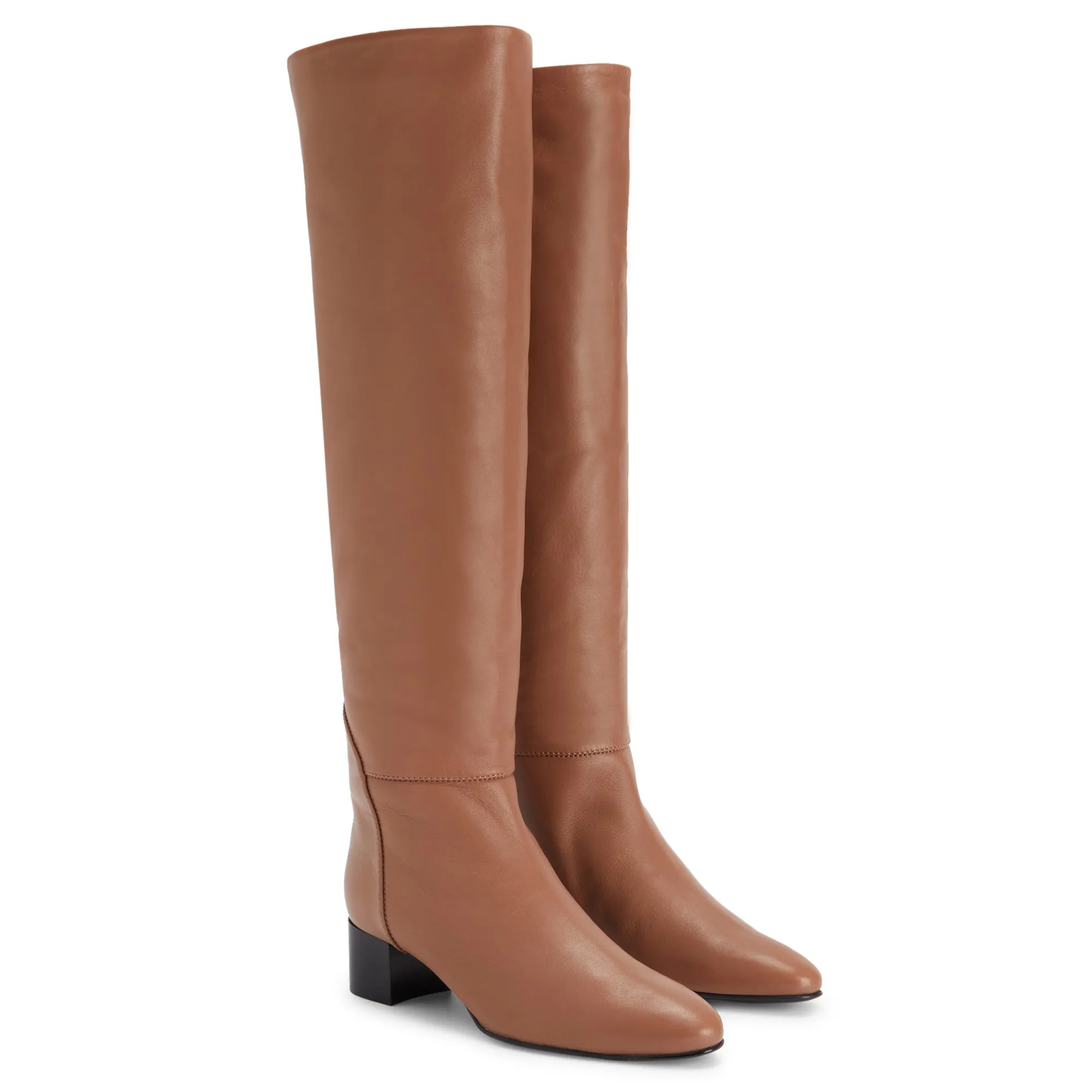 Giuseppe Zanotti Clelia