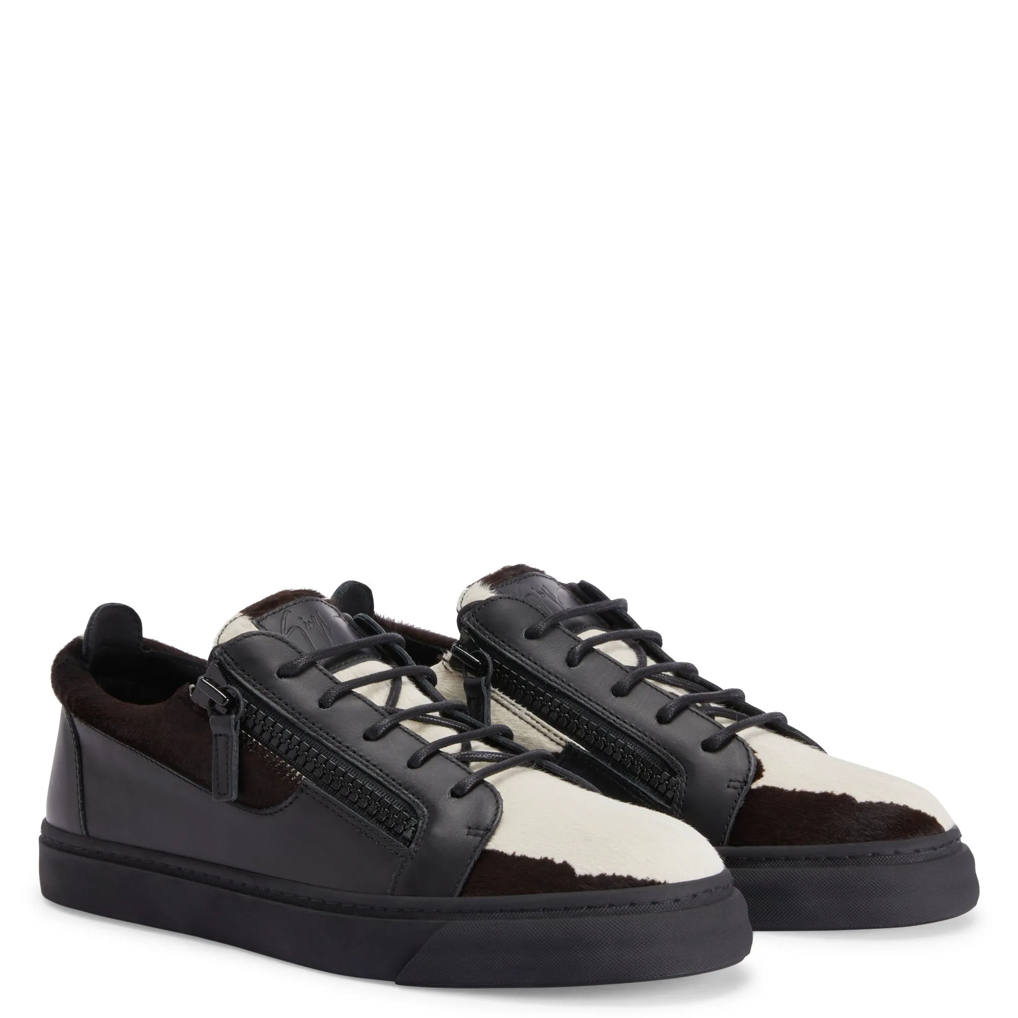 Giuseppe Zanotti Frankie