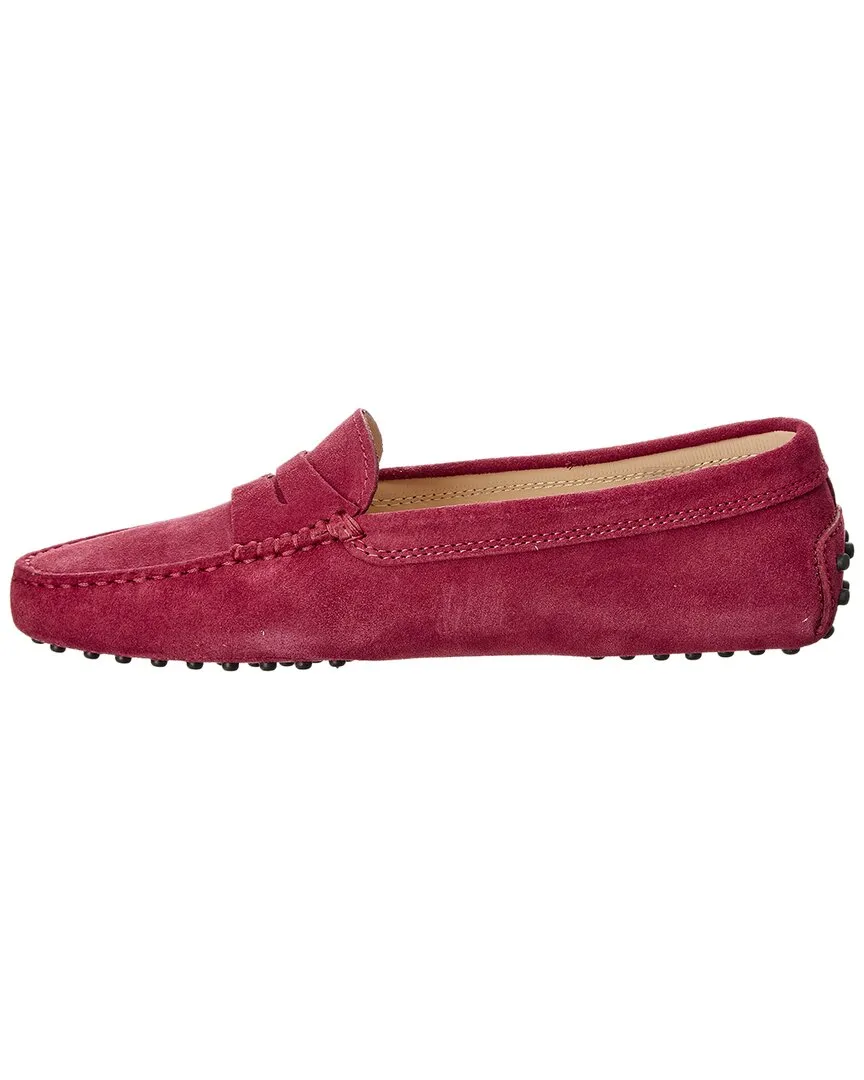 TODs Gommino Suede Loafer