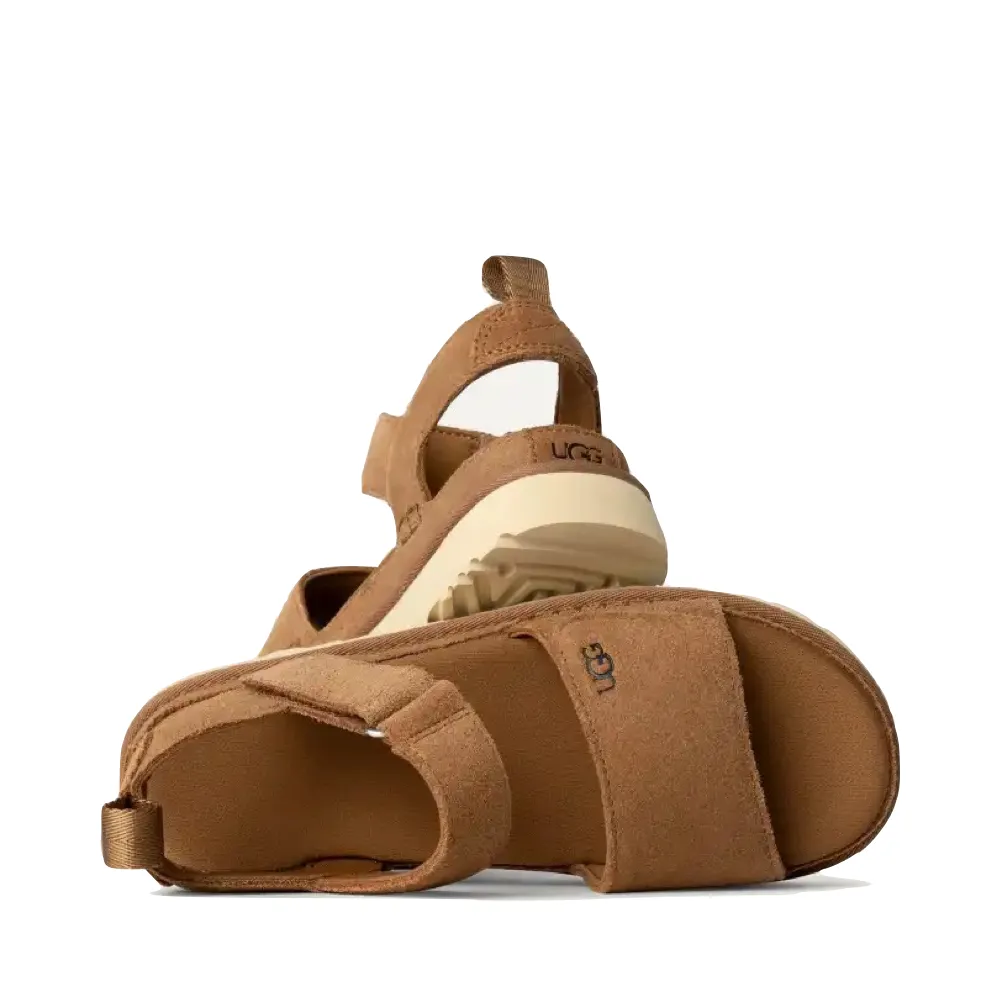 Ugg Women's Goldenstar Platform Sandal in Chestnut